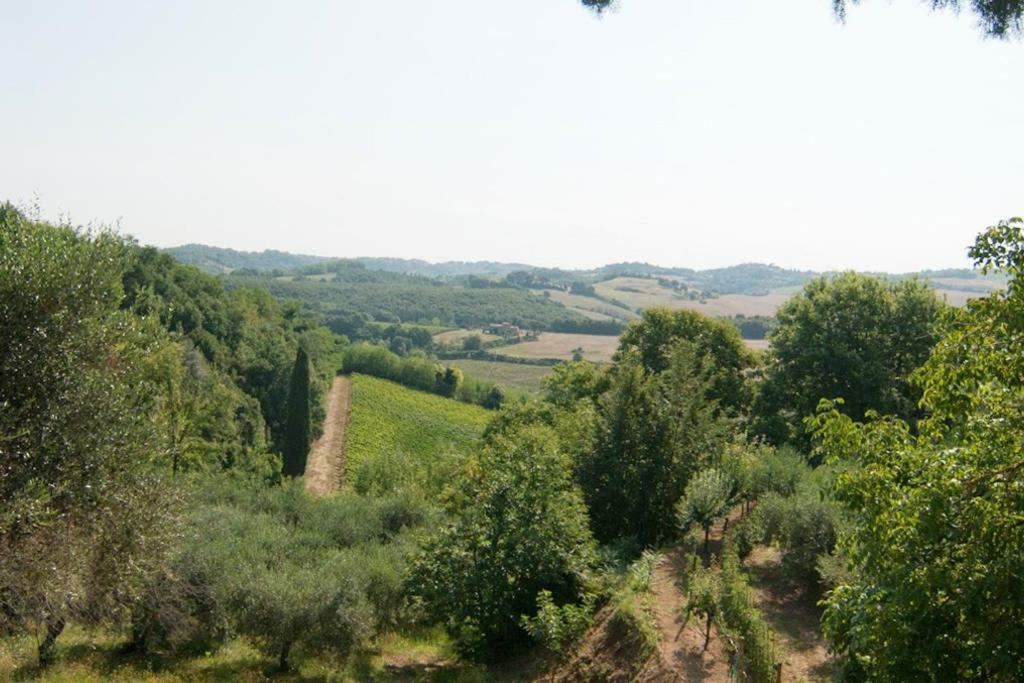 Lorenzana Stunning Country House Overlooking Tuscany Hills מראה חיצוני תמונה